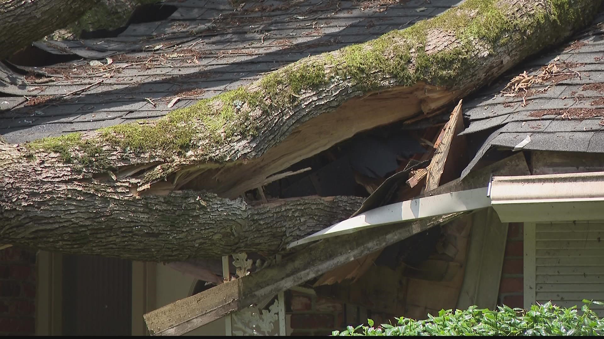 Atlanta's thick tree canopy could be threatened by the winds and rain brought into the state by Hurricane Ian.
