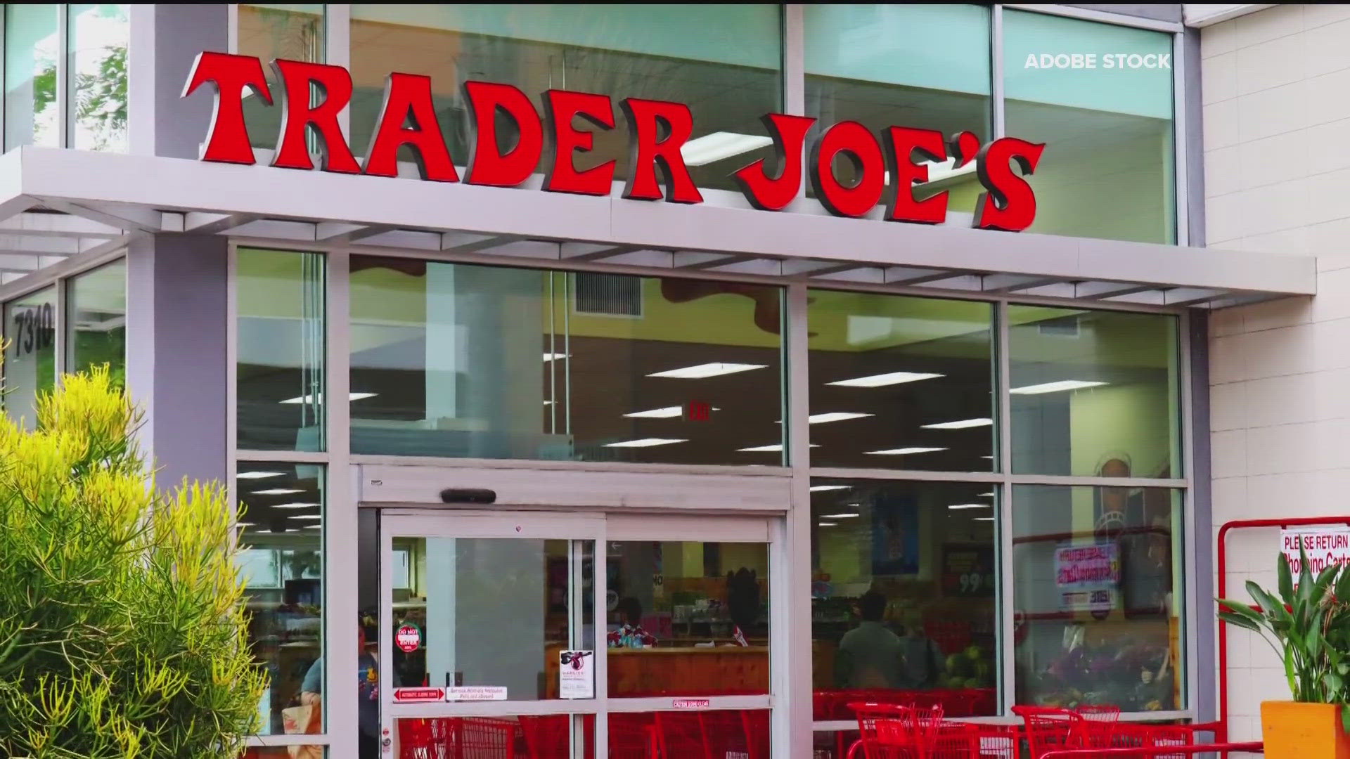 The grocery chain is headed to Peachtree City.