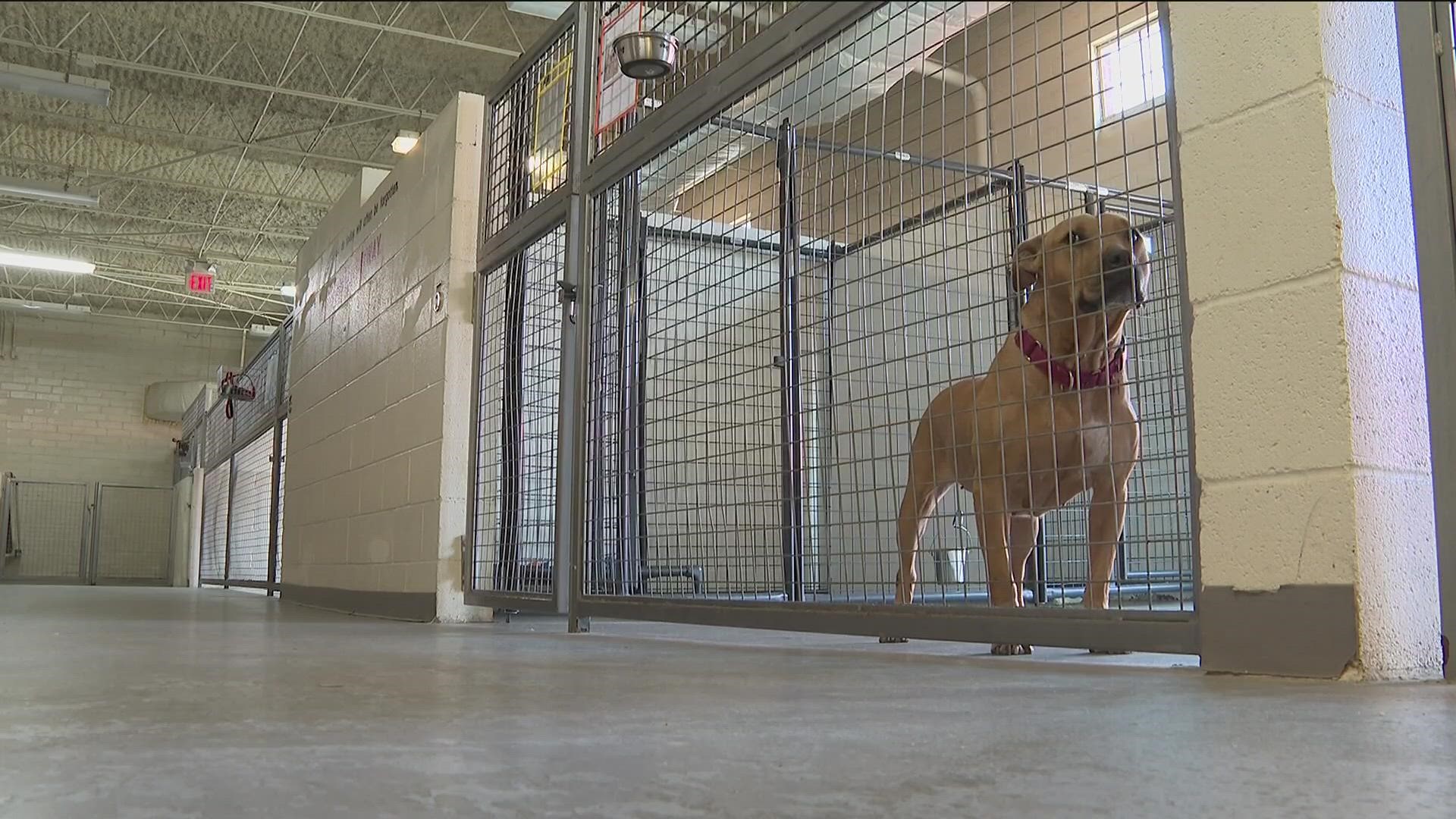 The program involved 10-week cycles in which inmate handlers would train with the dog to prepare the dog for adoption.