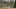 Body found in Georgia pond, police say