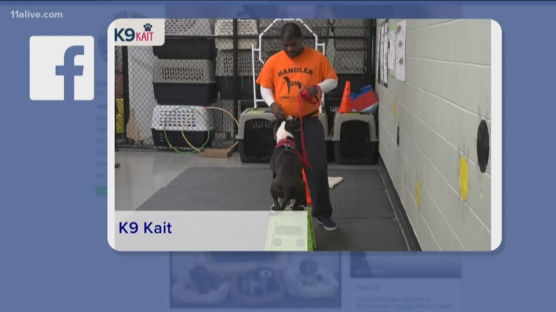 Inmates at the Fulton County Jail are marking that huge milestone with the dogs they help train, through Canine Cellmates. The 10-week program is rigorous and demanding, but also gives the inmates a huge sense of accomplishment when they walk across the stage.