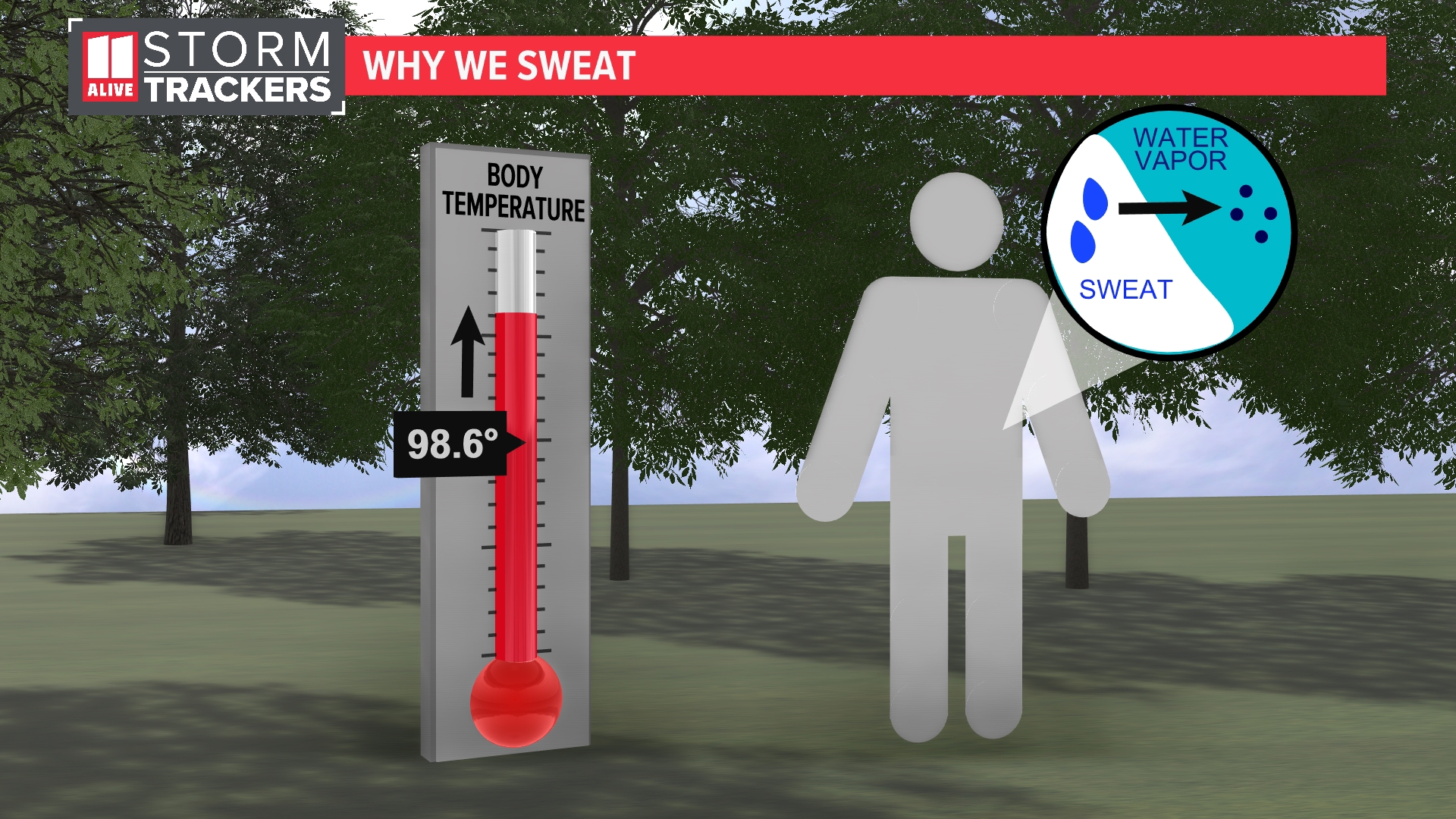 11Alive Chief Meteorologist Chris Holcomb explains how your body cools itself down in the heat.