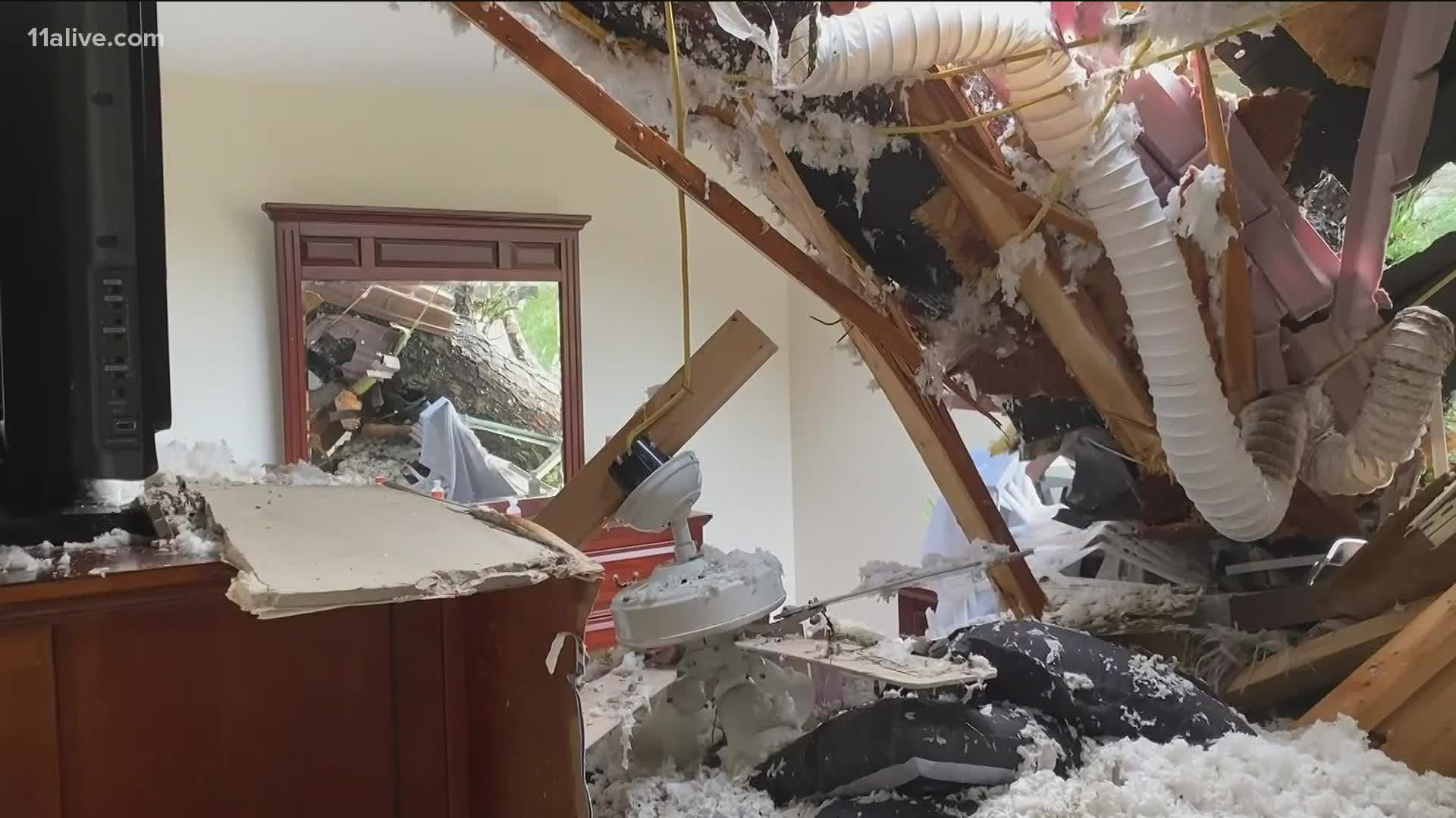 One apartment complex had a tree fall completely through the roof.