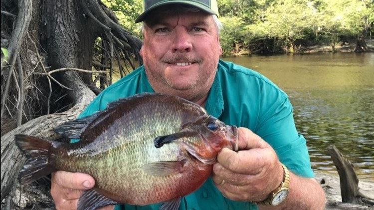 Georgia man catches potential world record tying sunfish