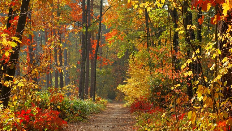 Looking for a fall hike in Georgia? Here's a list of best destinations