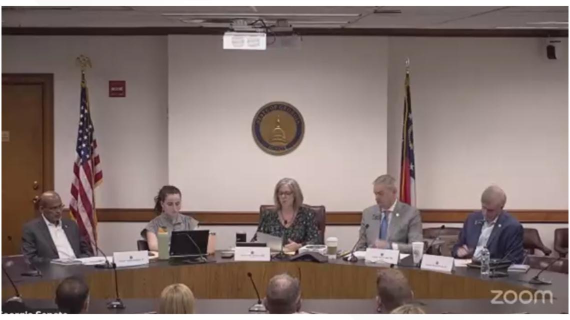 Georgia Senate committee studying social media and AI impact on children meets again today