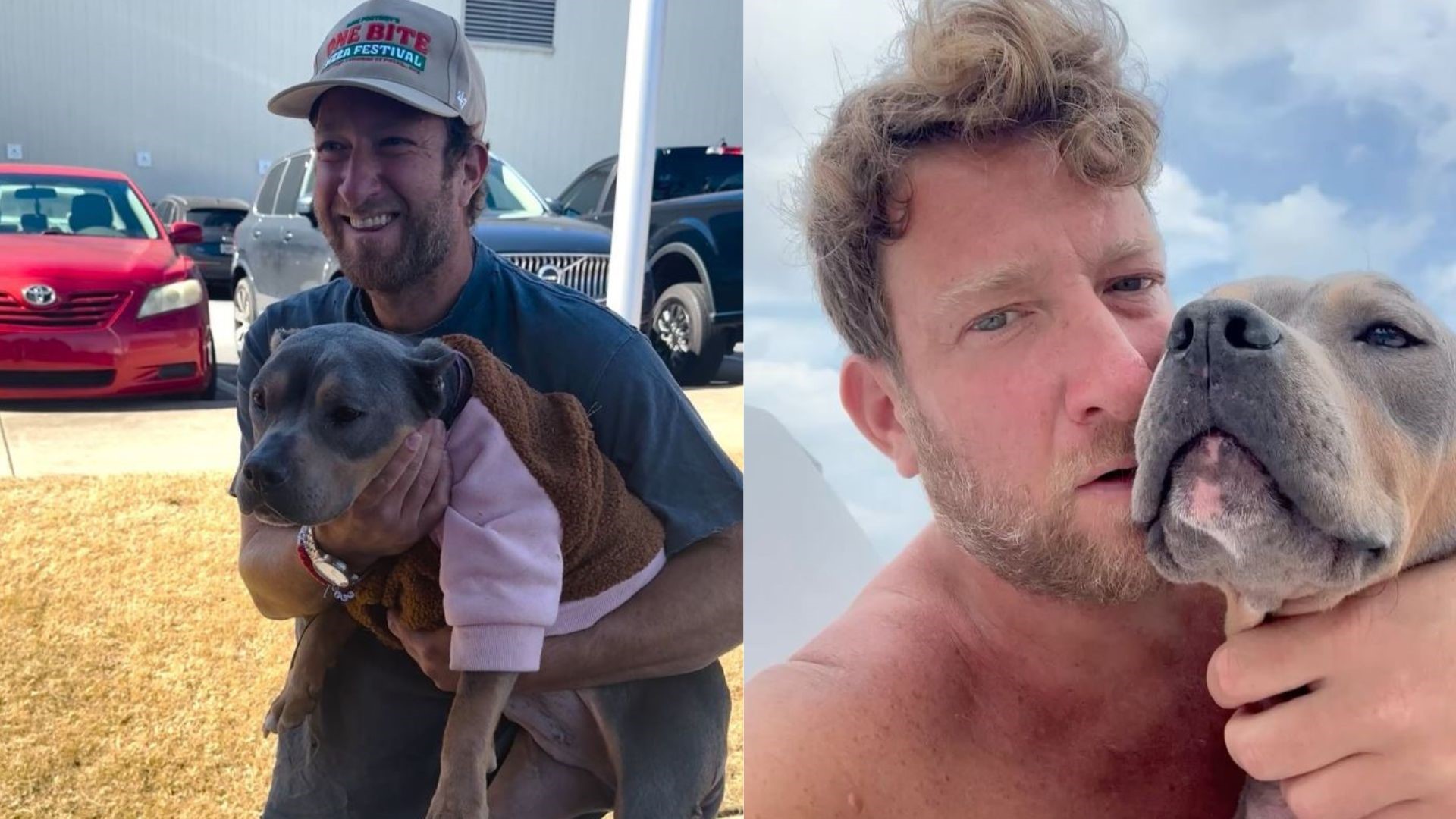 Miss Peaches rescued by Dave Portnoy, 150K to Atlanta shelter