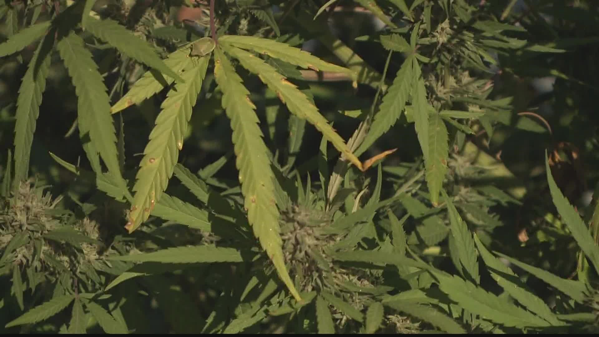 The new ordinance would make having an ounce or less of weed a ticket.