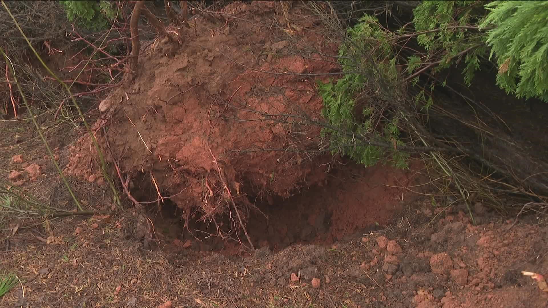 An EF-0 tornado touched down Tuesday in Coweta County, the National Weather Service confirmed.