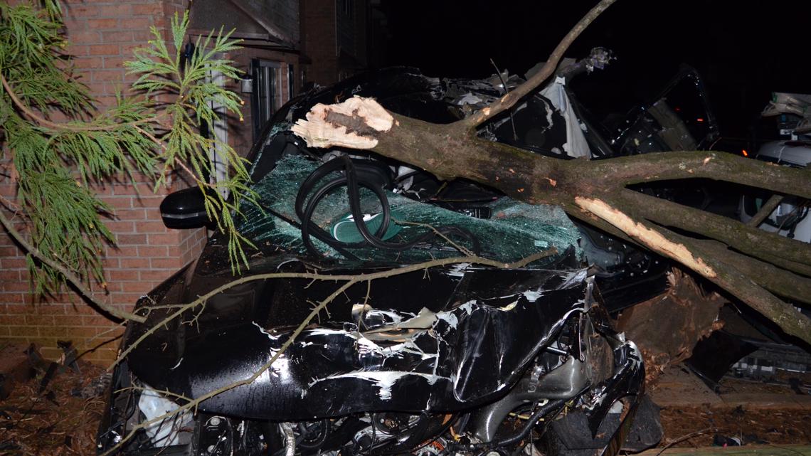 Deadly UGA crash: Lawsuit from staff member injured - Vimarsana News